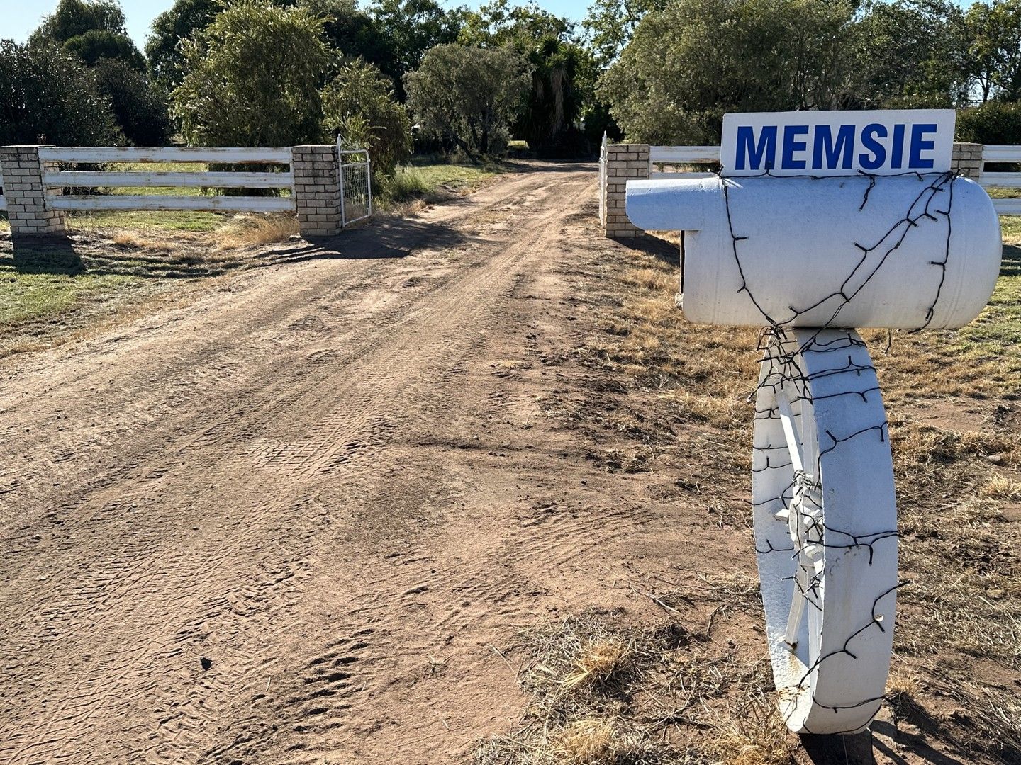 598 Cadonia Road, Gulargambone NSW 2828 Farm for Sale Domain