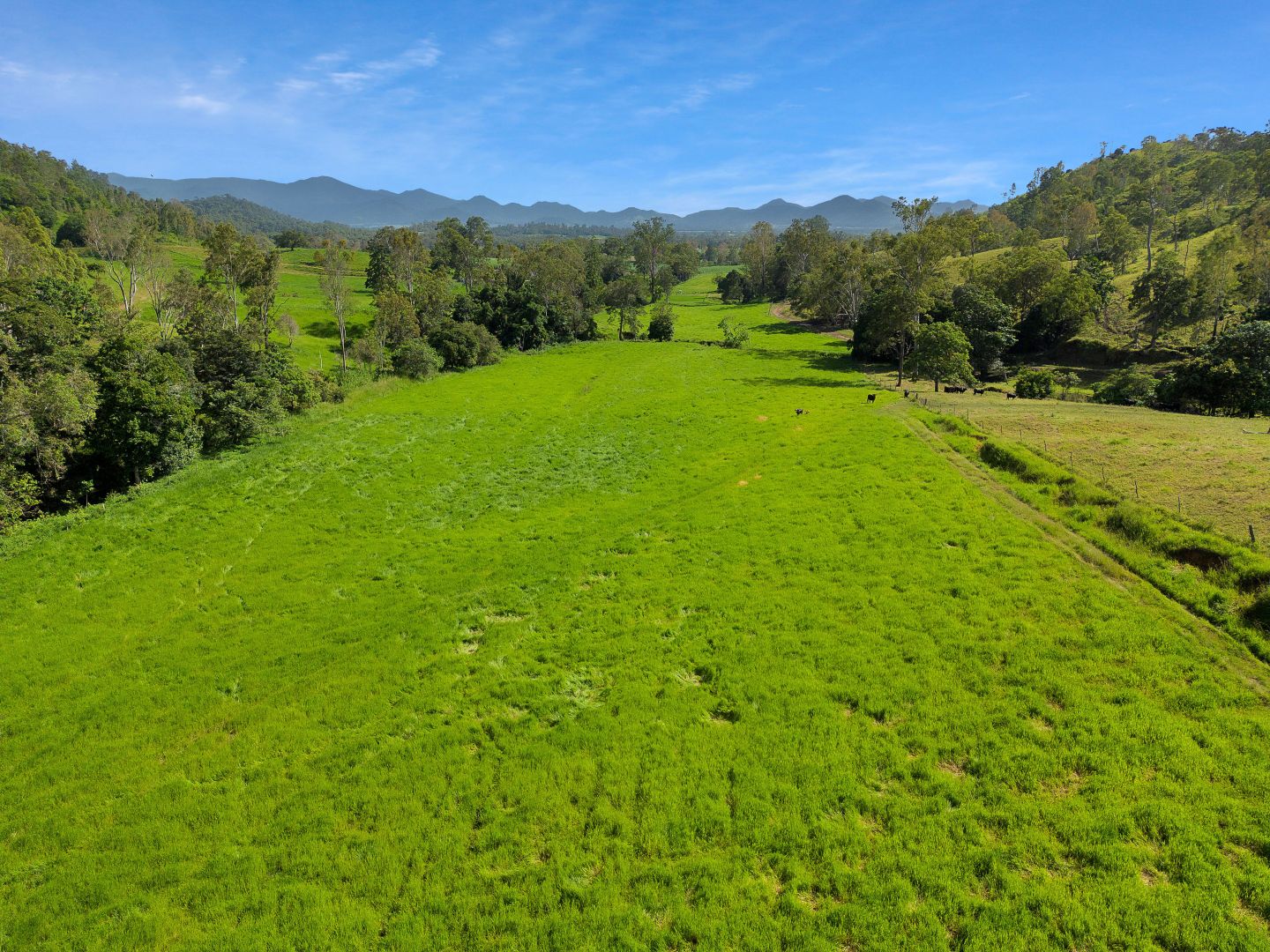 14 Pinnacle Station Road, Pinnacle QLD 4741 - House for Sale | Domain
