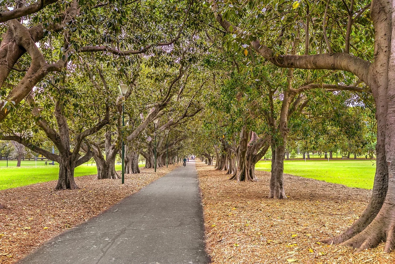 Additional image 10 of 4/559 Punt Road, South Yarra VIC 3141