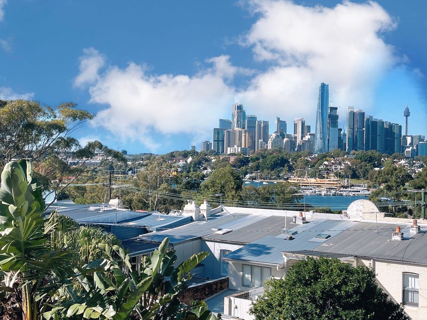 1 bedrooms Studio in 3/171-175 ROWNTREE STREET BIRCHGROVE NSW, 2041