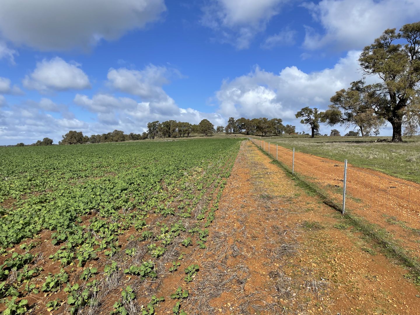 27 Badgingarra Road, Dandaragan WA 6507, Image 2