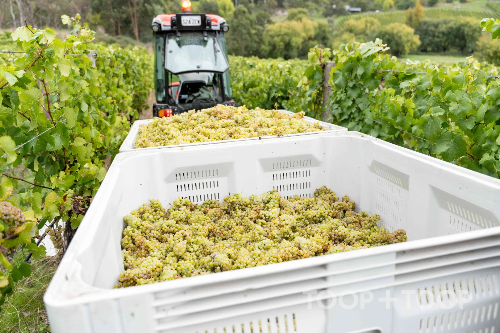 Additional image 10 of 12 Udys Road, Piccadilly SA 5151