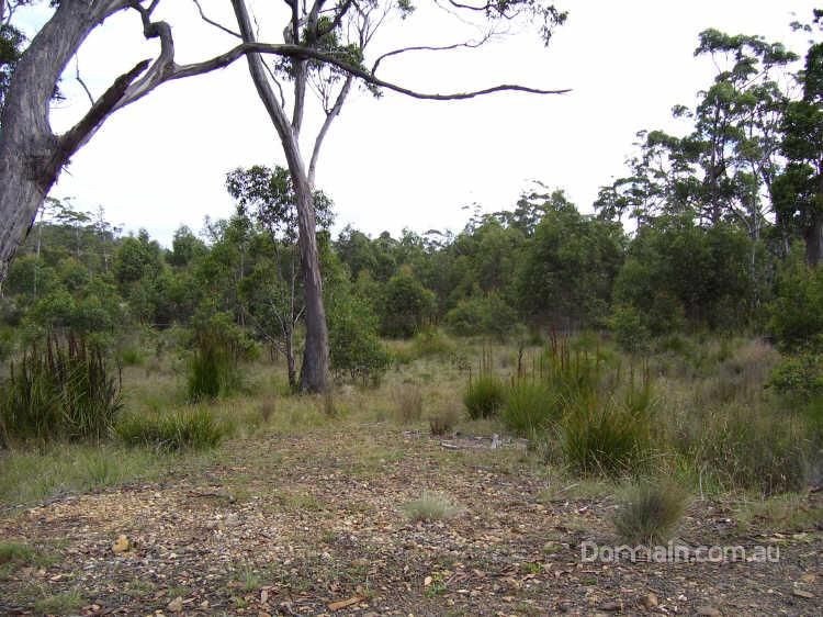 34 Brewis Place, LAKE LEAKE TAS 7210, Image 0