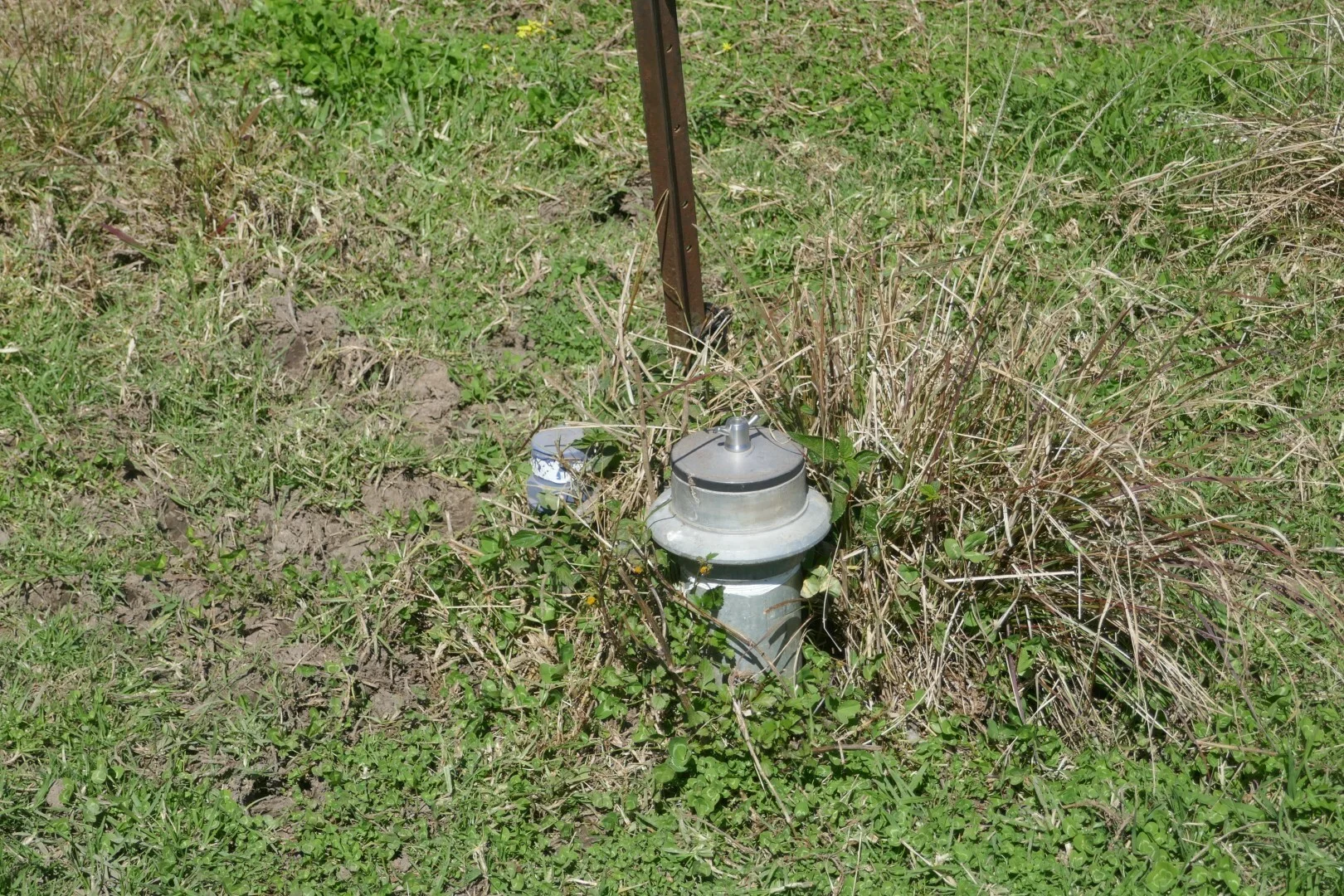 Image 17