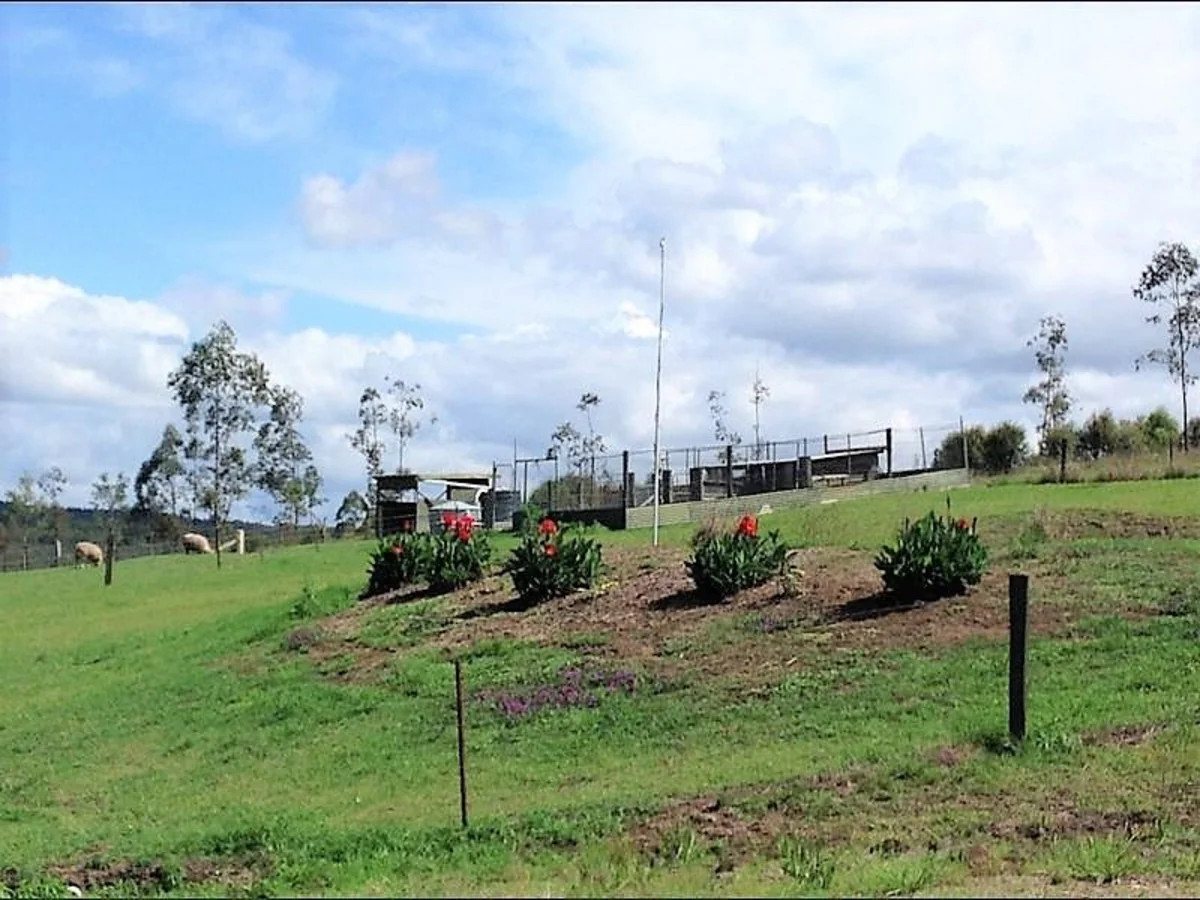 Additional image 34 of 37 Dyraaba Street, Bonalbo NSW 2469