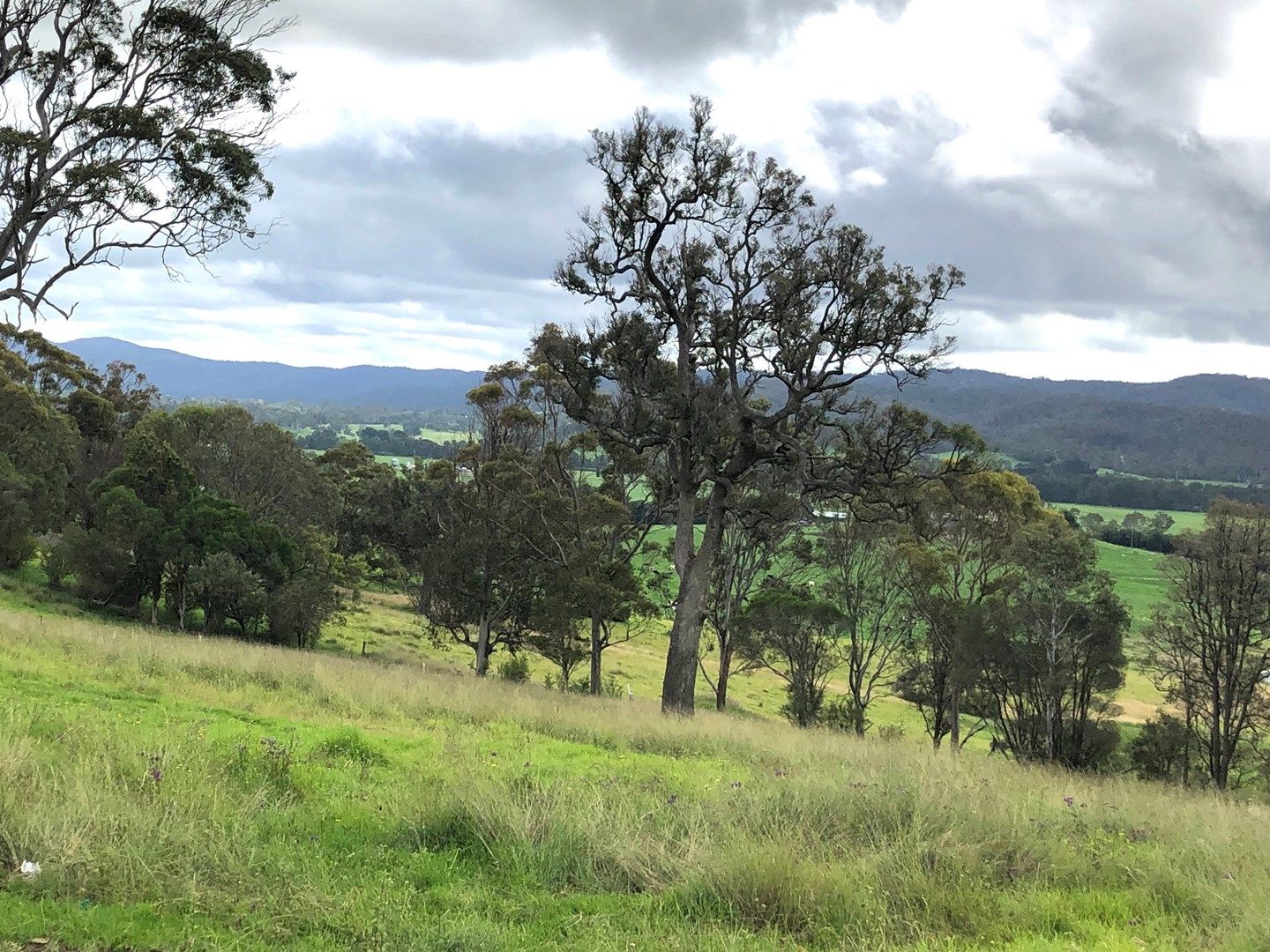 Lot 195 "Spanish Oaks" Kerrisons Lane, Bega NSW 2550, Image 1