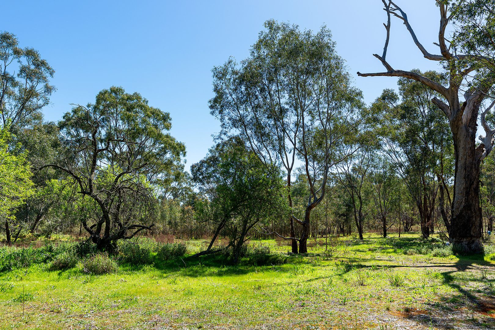 CA 7,15,16 Plonk Gully Track, Redcastle VIC 3523, Image 1