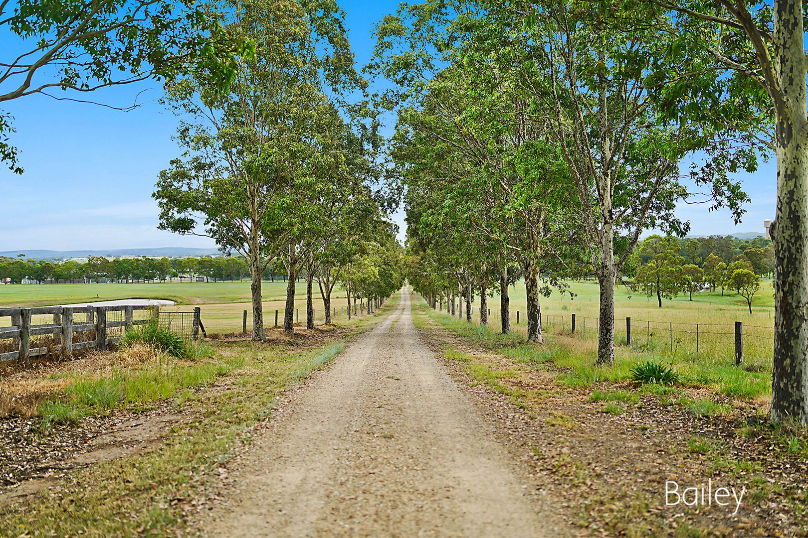 345 Range Road, Singleton NSW 2330, Image 1