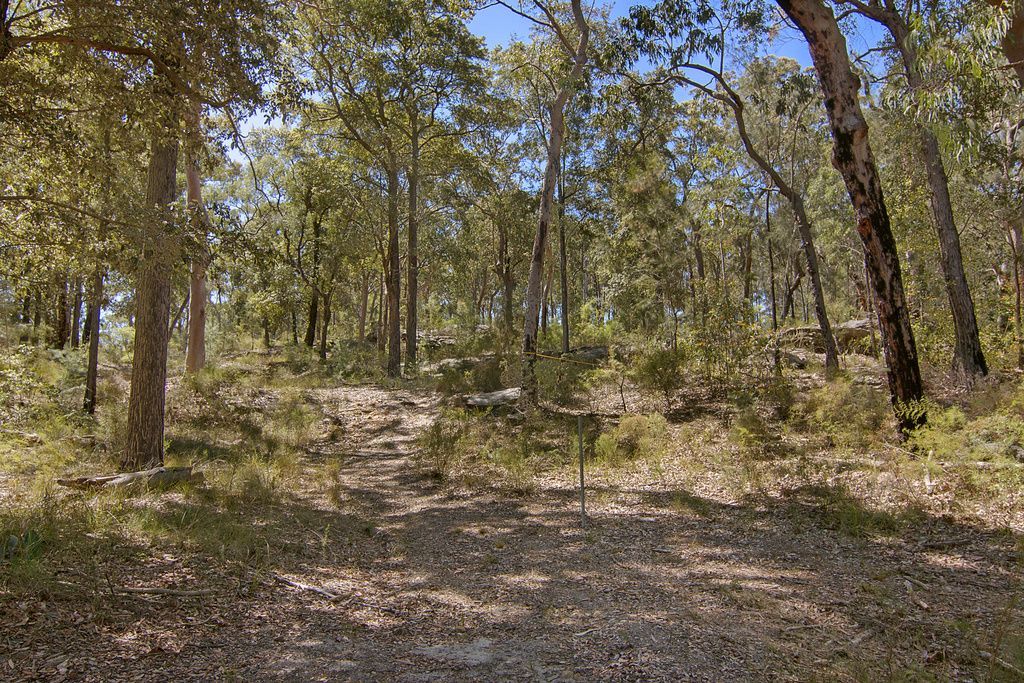 Proposed Lot 5 of 556 Blaxlands Ridge Road, Blaxlands Ridge NSW 2758, Image 2