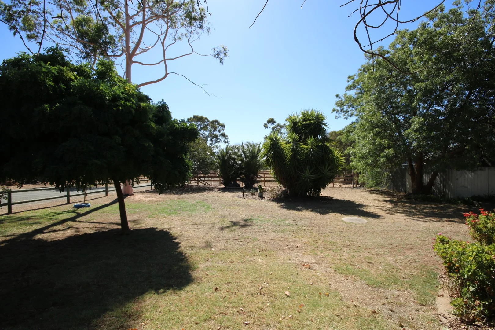 Image 14
