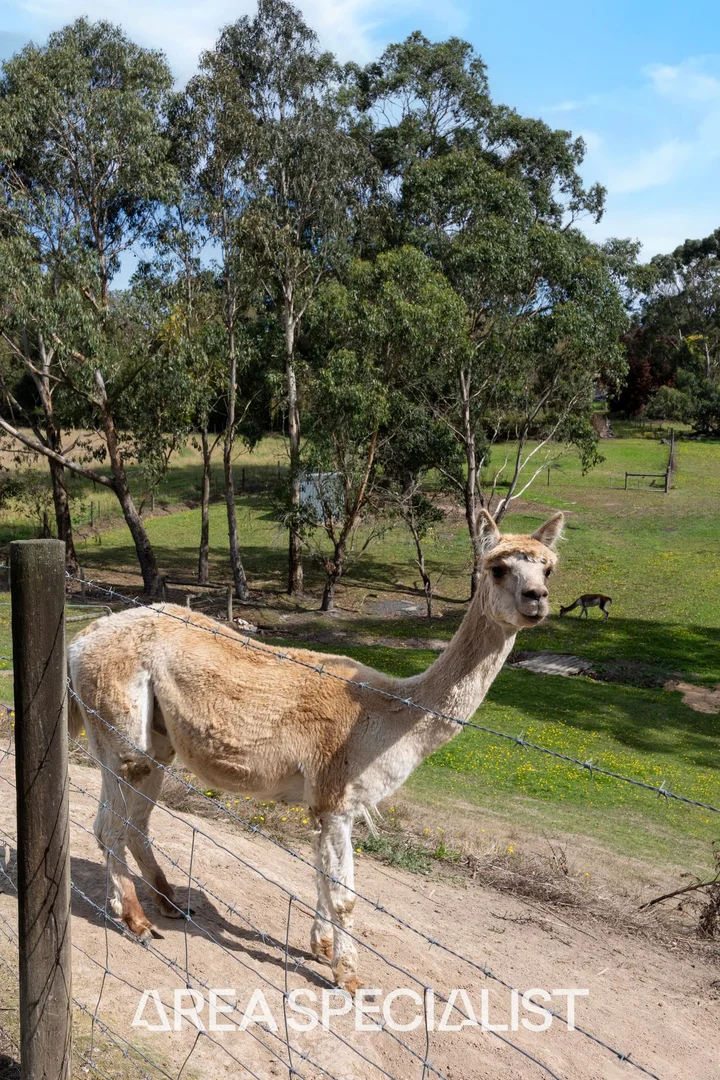 Additional image 27 of 9 Jersey Court, Korumburra VIC 3950