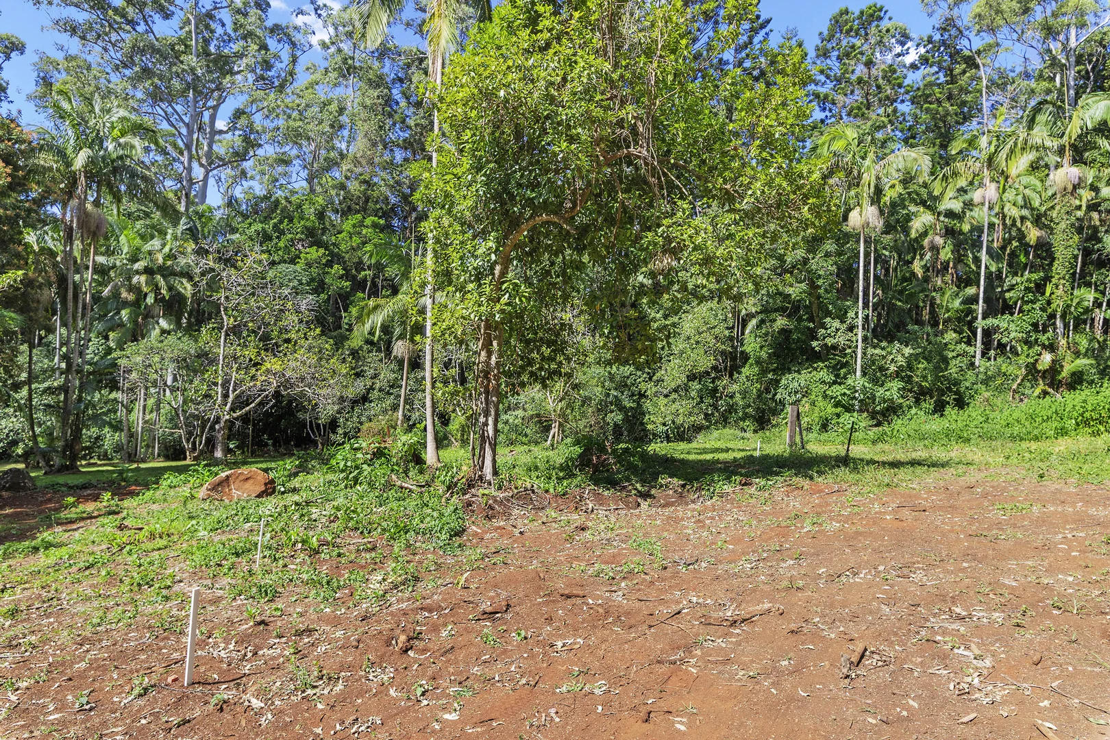 Additional image 5 of 78 Long Road, Tamborine Mountain QLD 4272