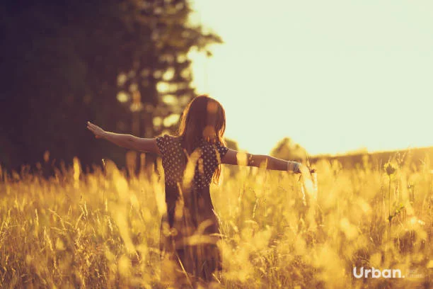 Additional image 10 of 33 Park Road, Leppington NSW 2179