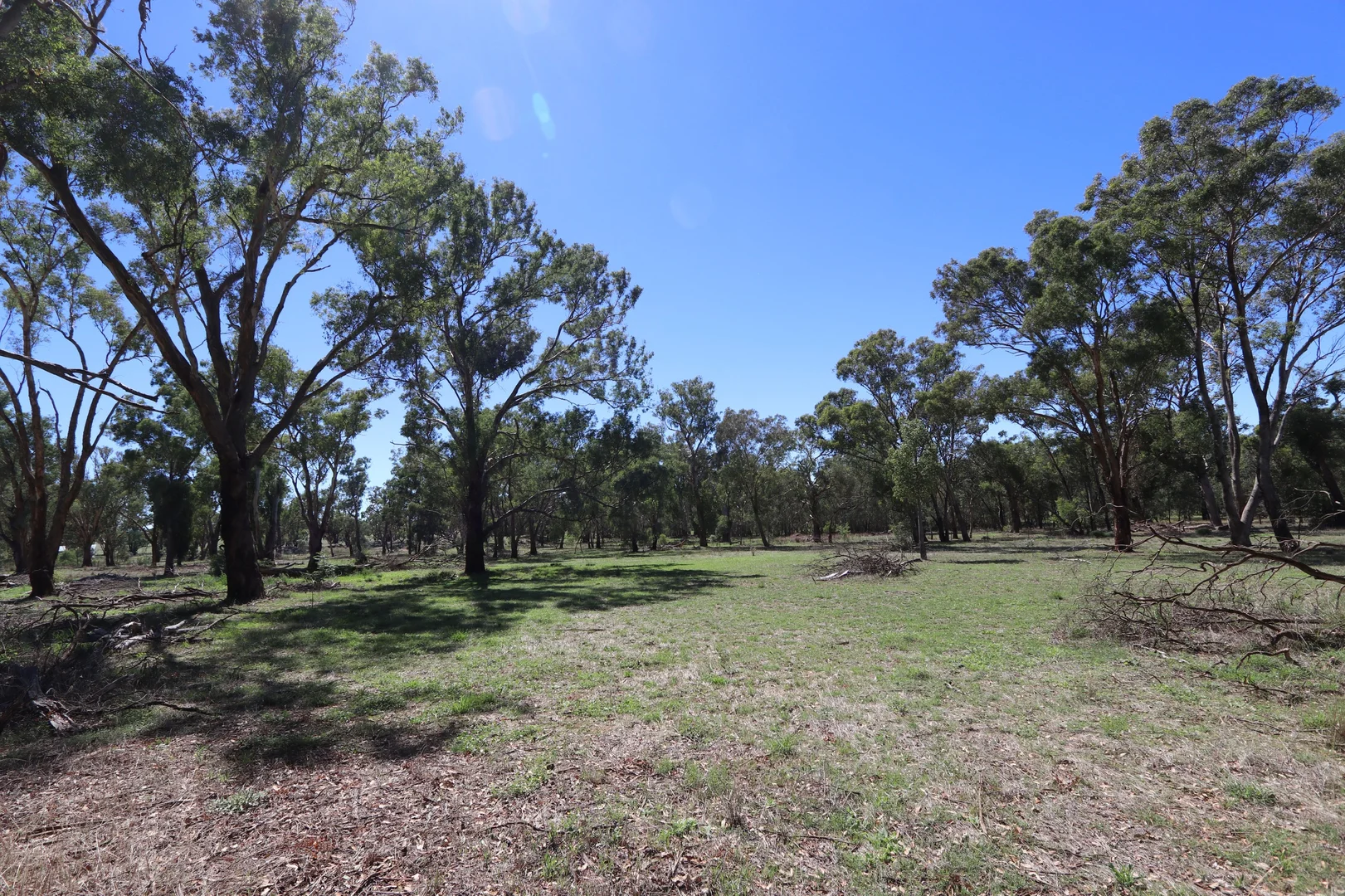 Additional image 7 of 52 BENDICK MURRELL ROAD, Bendick Murrell via, Young NSW 2594