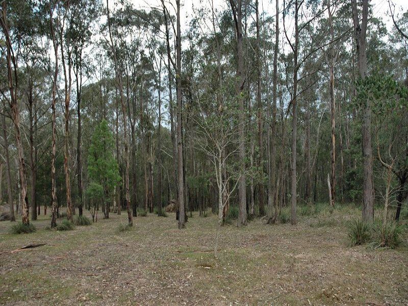 Middle Ridge Road, Wollombi NSW 2325, Image 0