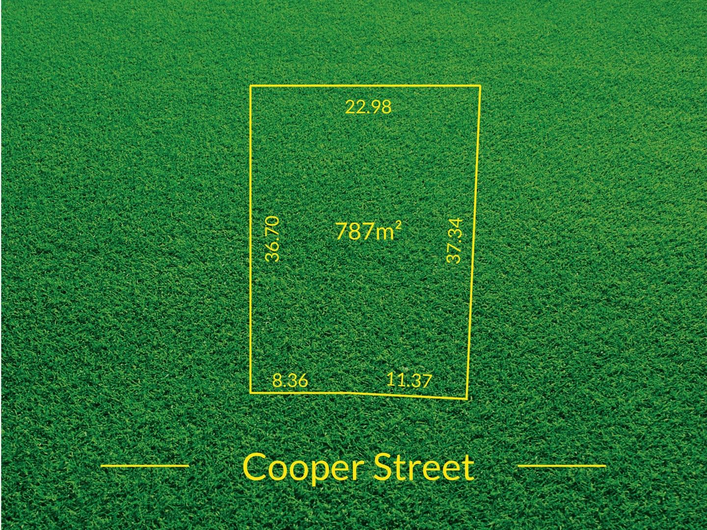 31 Cooper Street, Berri SA 5343, Image 1