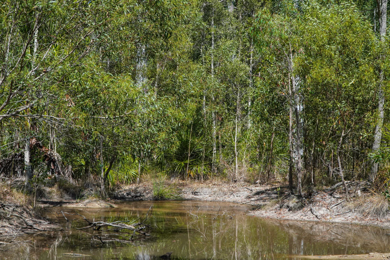 Image 12