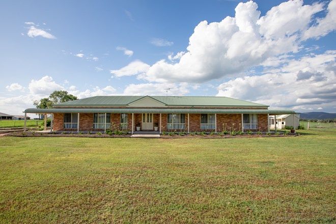 Picture of 720 Standen Drive, LOWER BELFORD NSW 2335