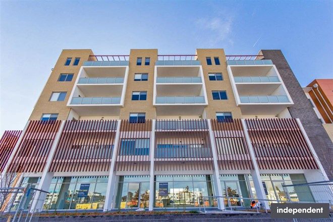 227 1 Bedroom Apartments For Rent In Canberra Act Domain