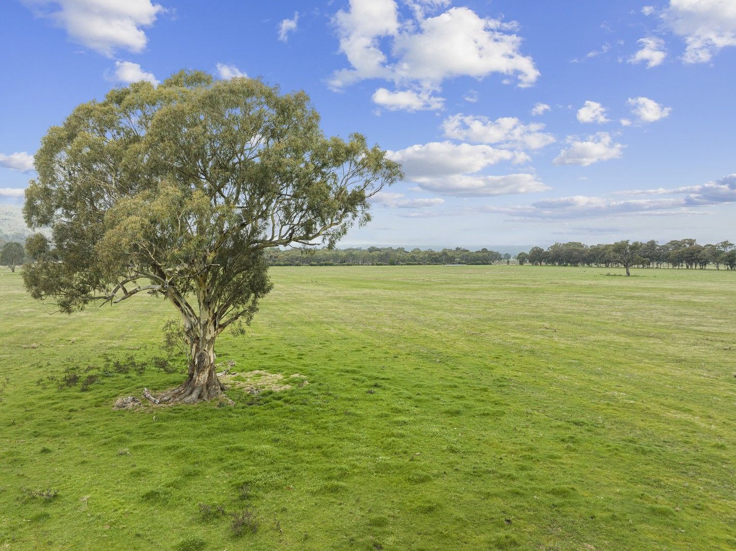 51 Neelands Road, Euroa VIC 3666, Image 1