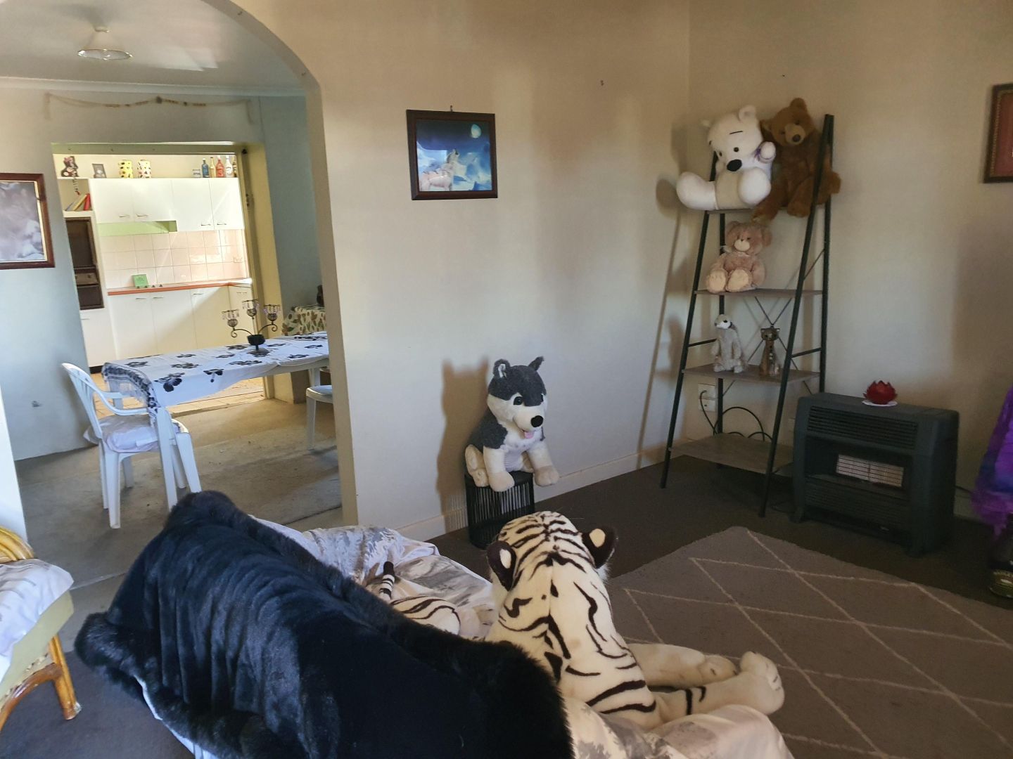 352 Williams Street, Broken Hill NSW 2880 House For Rent Domain