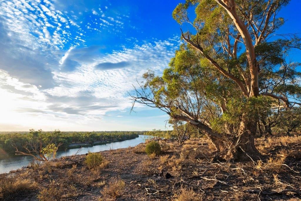 40 Nikalapko Boundary Road, Taylorville SA 5330, Image 0