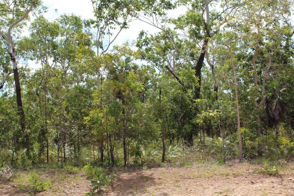 Additional image 8 of 155 Serrata Road, Dundee Downs NT 0840