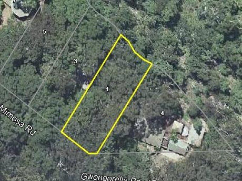 1 Mimosa Road, Springbrook QLD 4213, Image 2