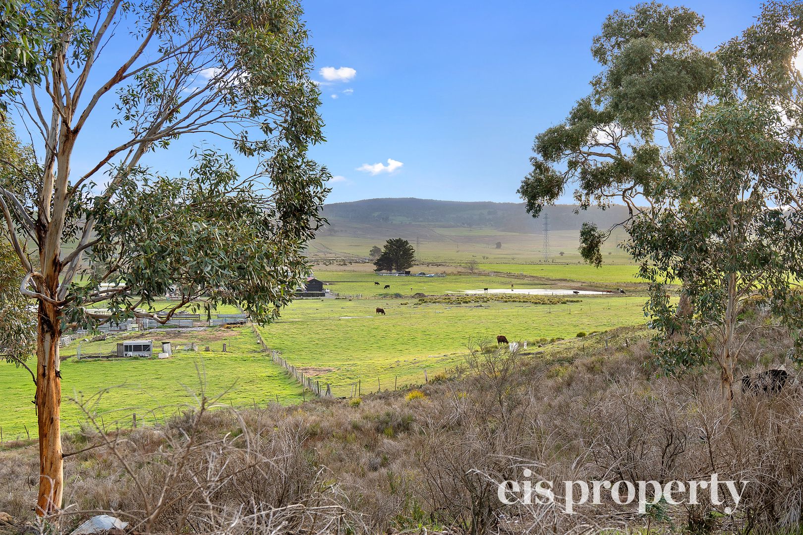 Lot 1 Schaw Street, Bothwell TAS 7030, Image 2