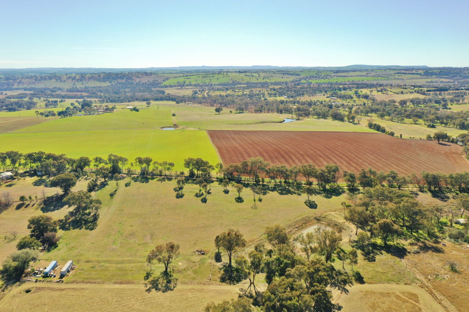 Lot 1986 Reynolds Lane, Young NSW 2594, Image 2