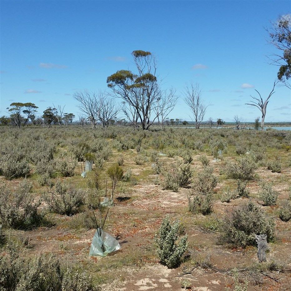 . Pontifex Road, Baandee WA 6412, Image 2