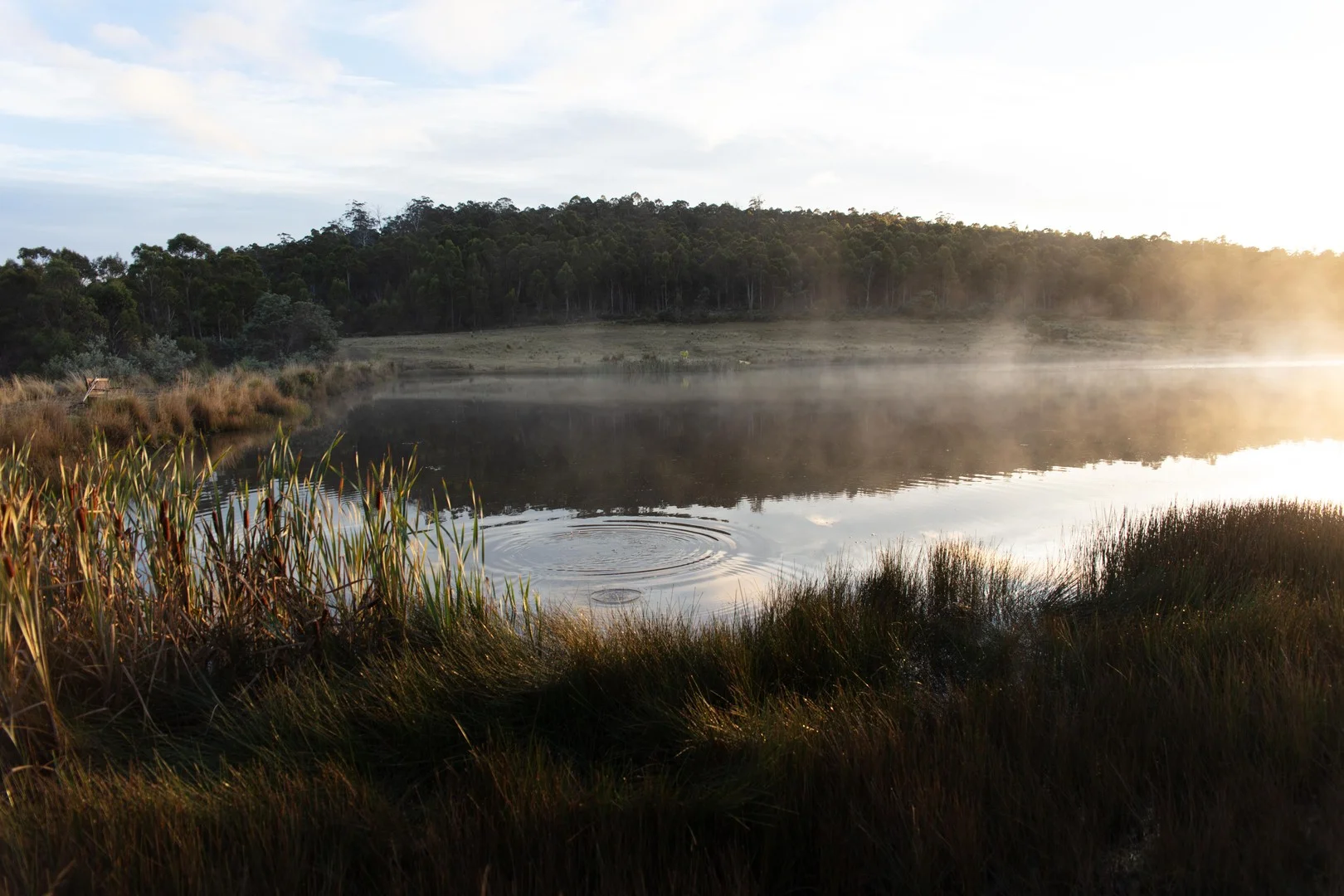 2413 Nugent Road, Buckland TAS 7190