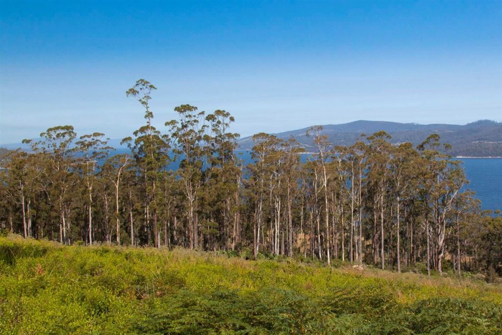 Lot 3 Cygnet Coast Road, Petcheys Bay TAS 7109, Image 2