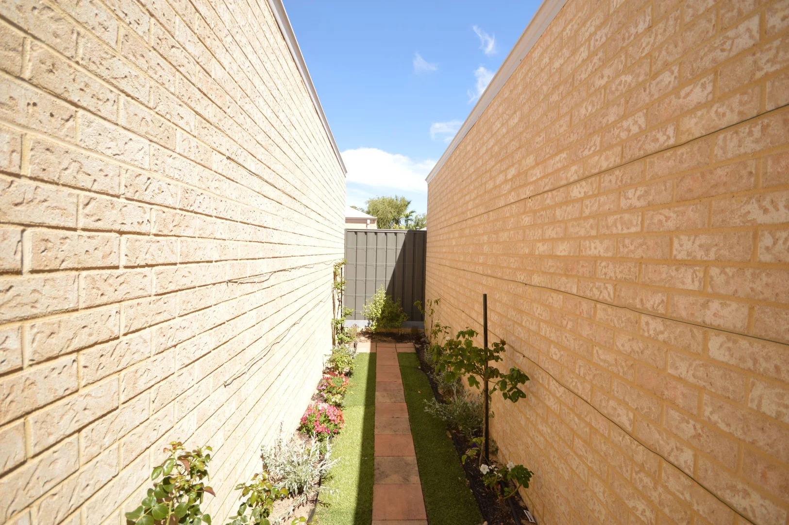 Image 15