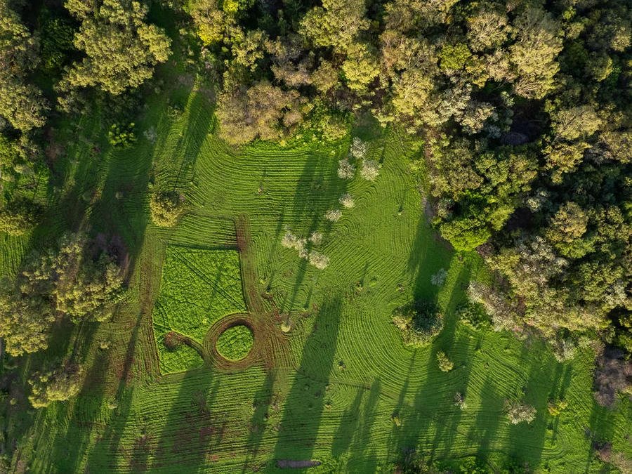 Image 17