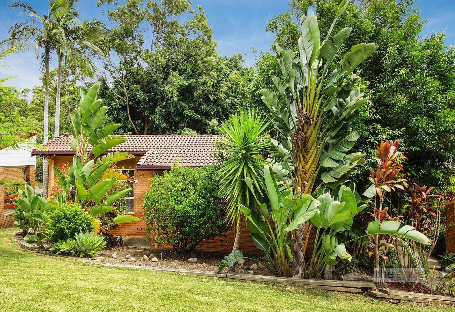 51 Dews Avenue, Toormina NSW 2452, Image 0