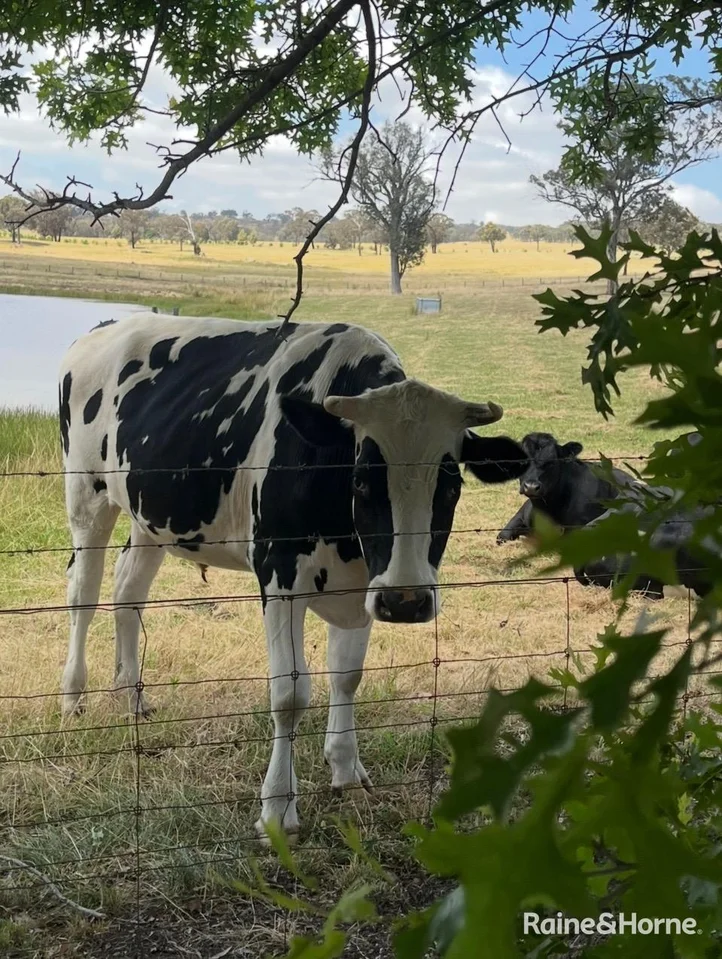 Additional image 32 of 2002 Lagoon Road, The Lagoon NSW 2795