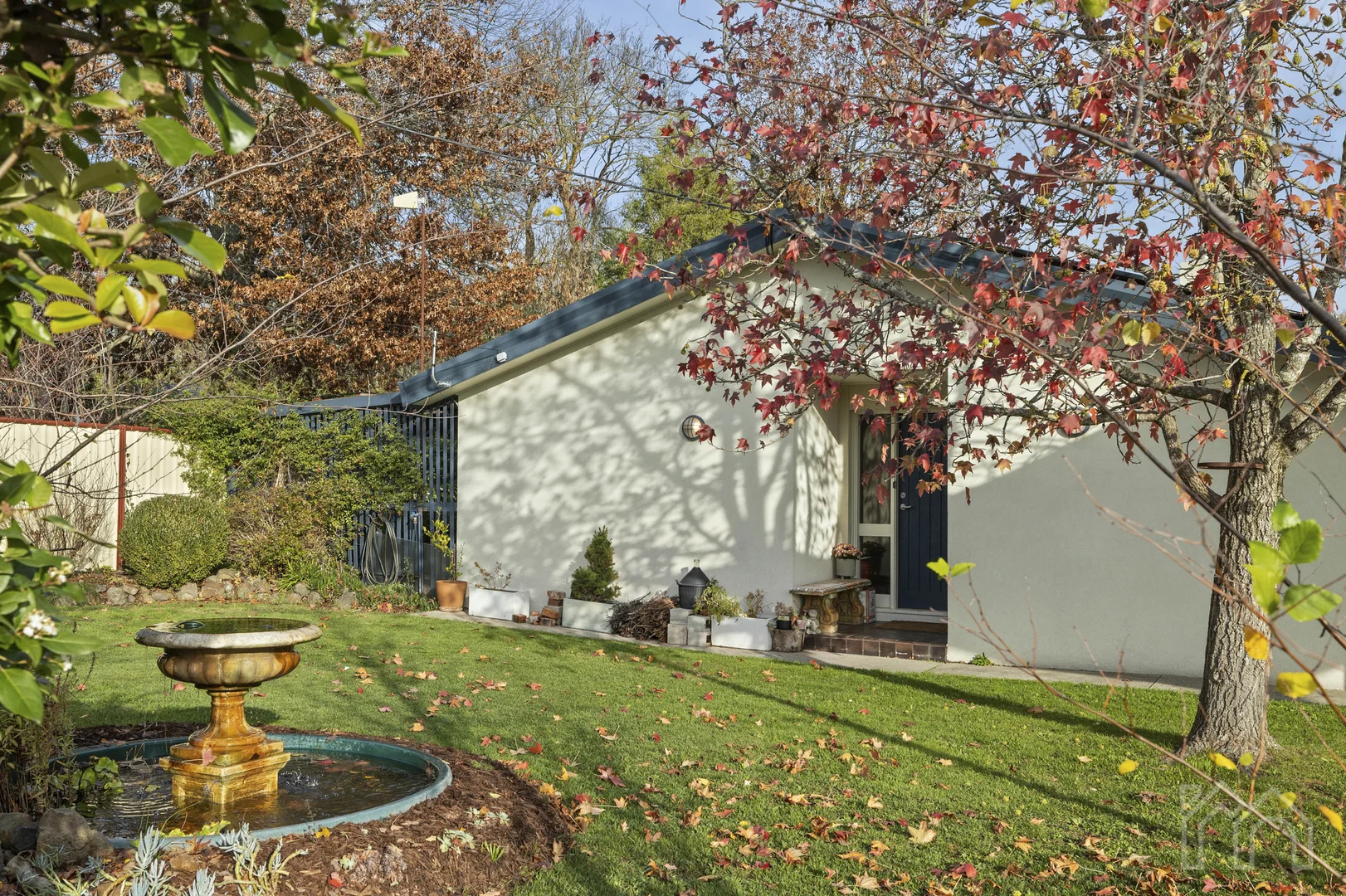 Image 19