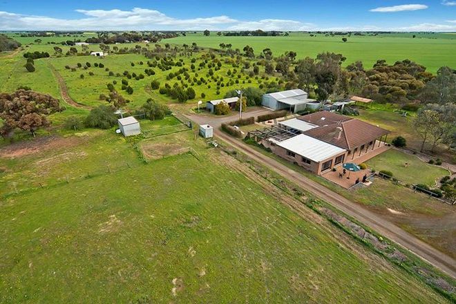 Picture of 75 Bache Road, REEVES PLAINS SA 5502