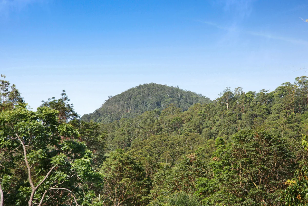 Image 15