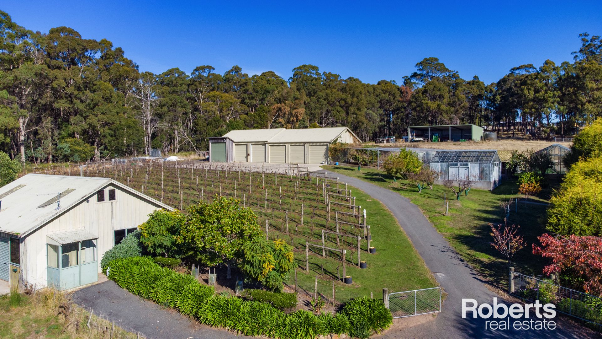 3 Lothian Place, Riverside TAS 7250, Image 1