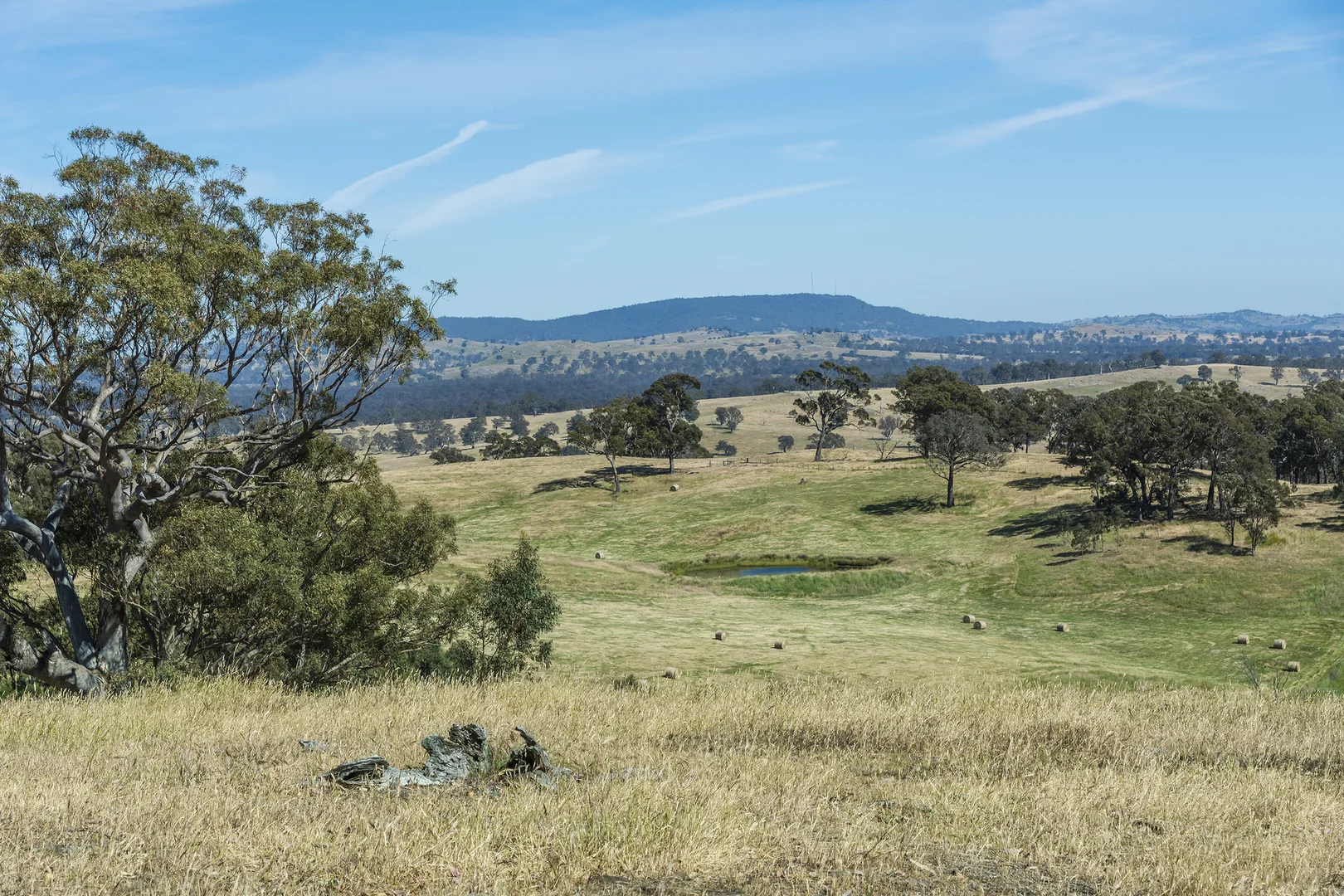 Image 15