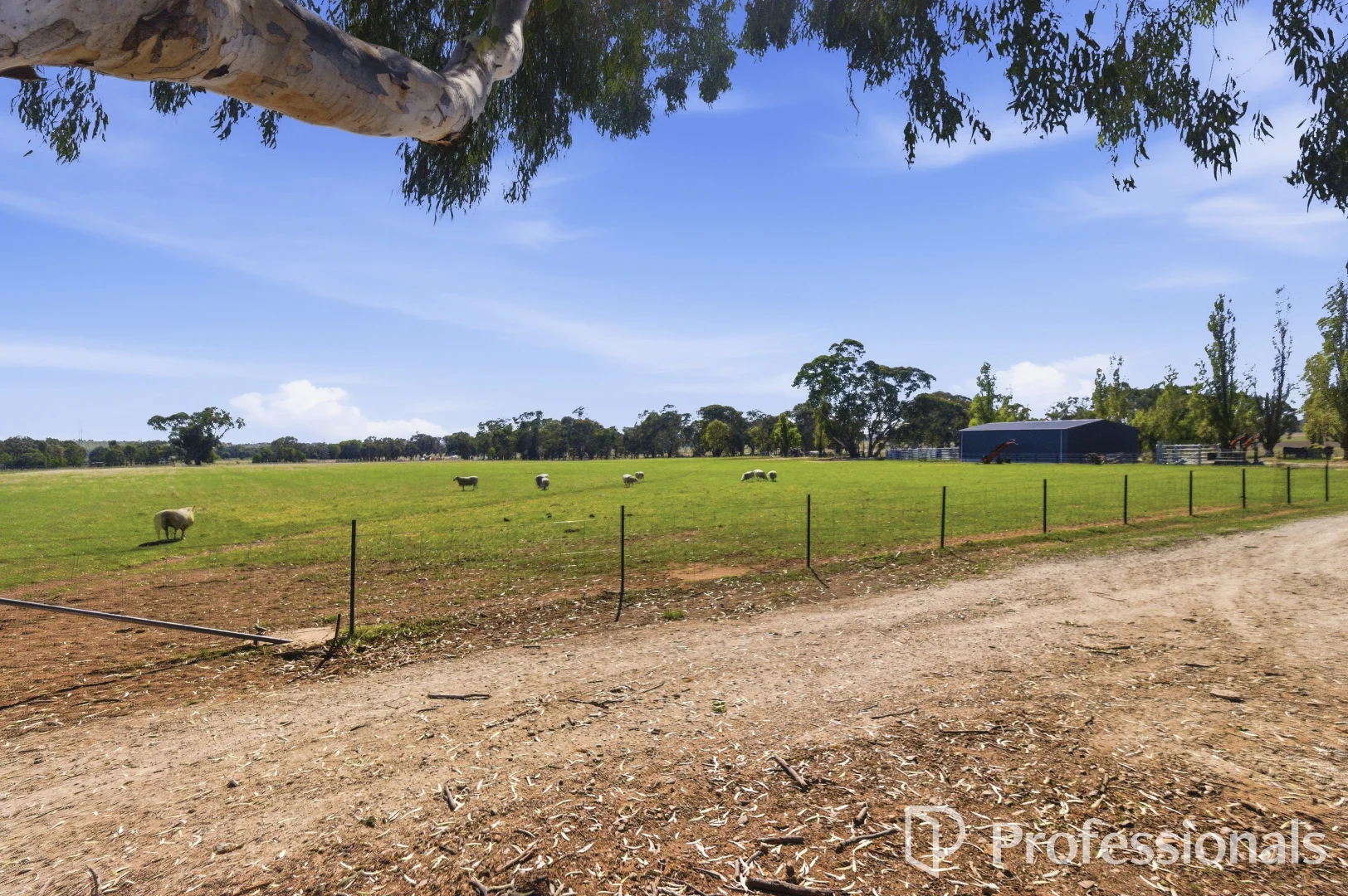 Additional image 26 of 152 Ivydale Road, Wagga Wagga NSW 2650