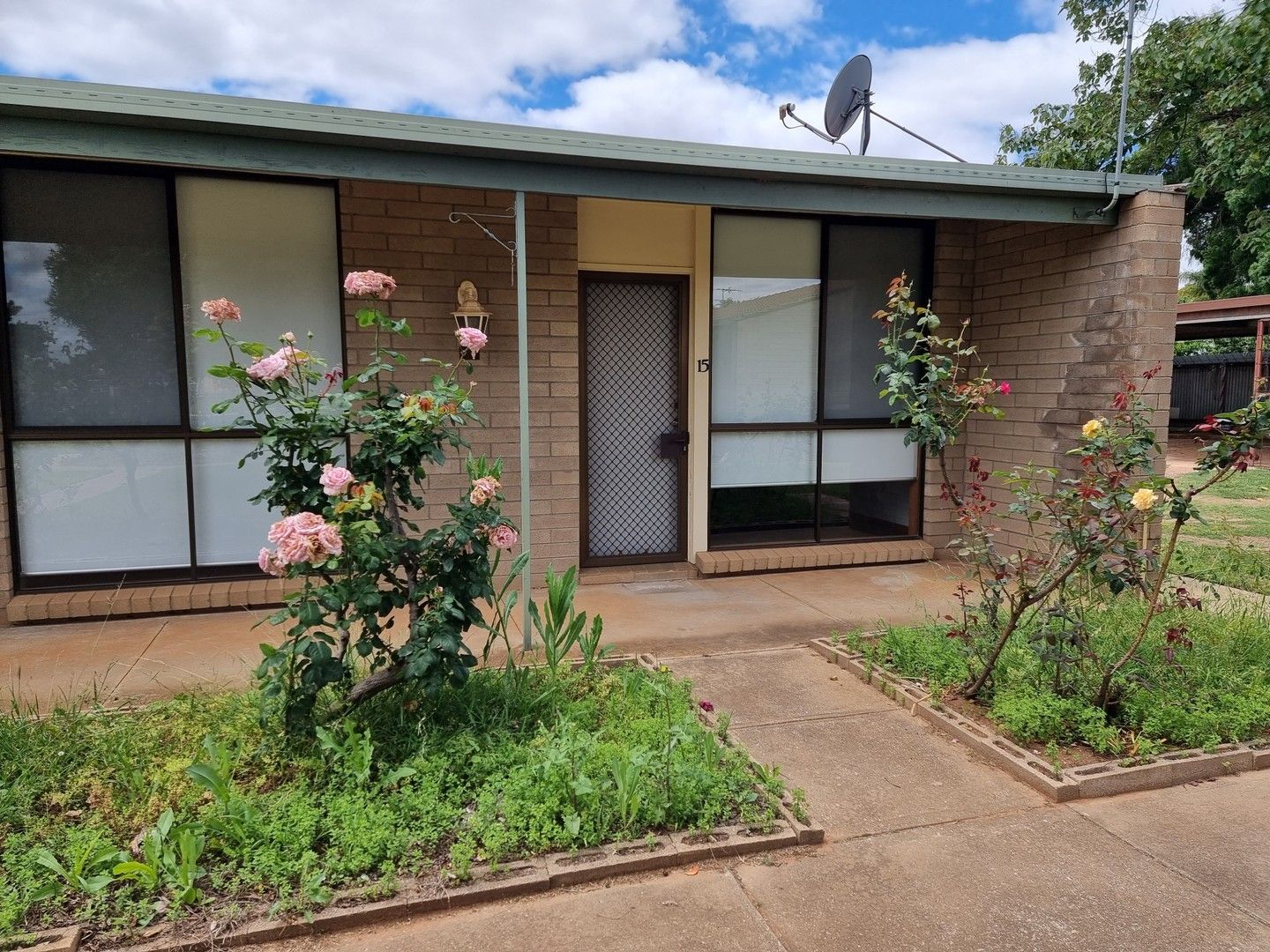 15/1824 Matong Street, Dareton NSW 2717 Apartment For Rent Domain