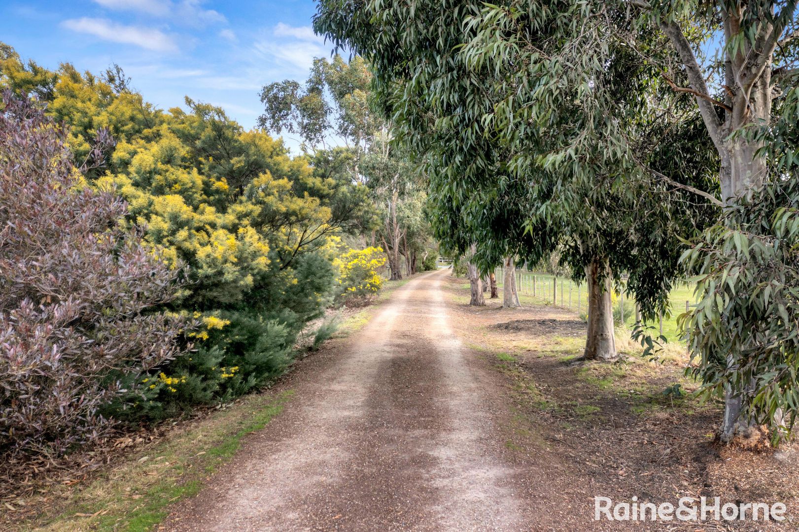 24 Stuart Court, Riddells Creek VIC 3431, Image 2