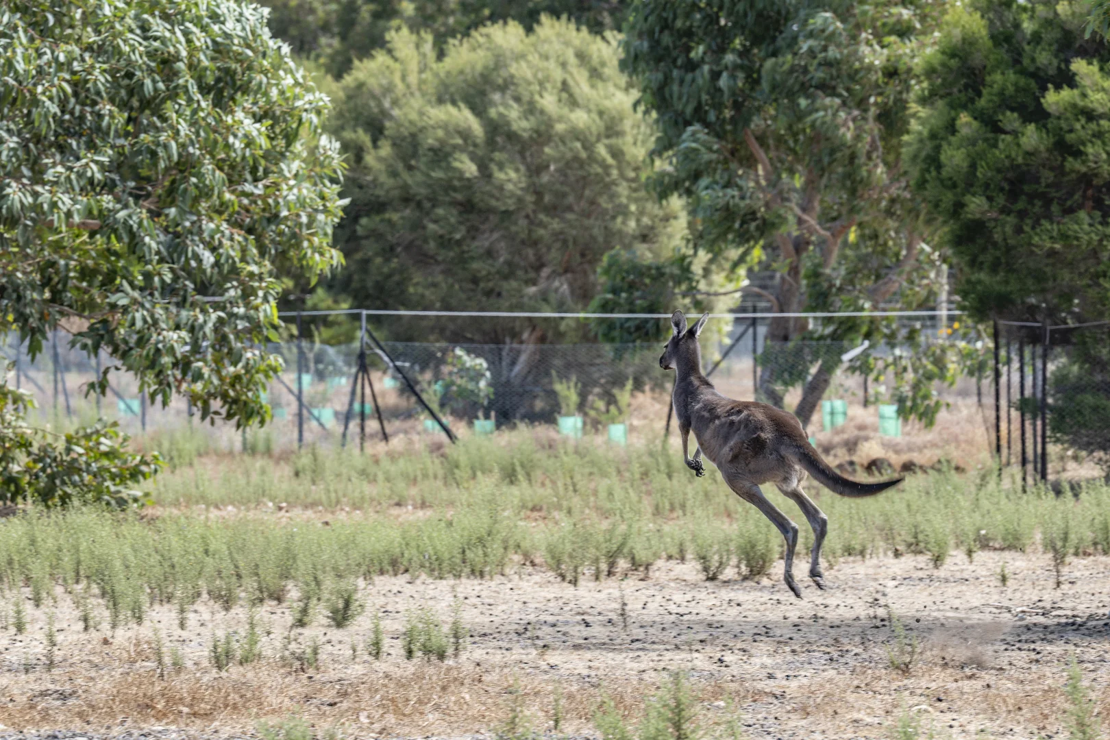 Additional image 24 of 114 Sonning Loop, Yallingup WA 6282