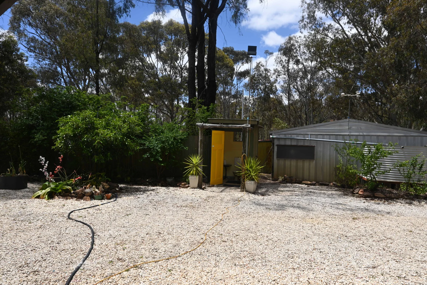Image 12