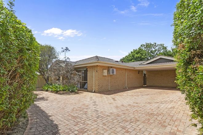 Picture of 6/68 Gildercliffe Street, SCARBOROUGH WA 6019