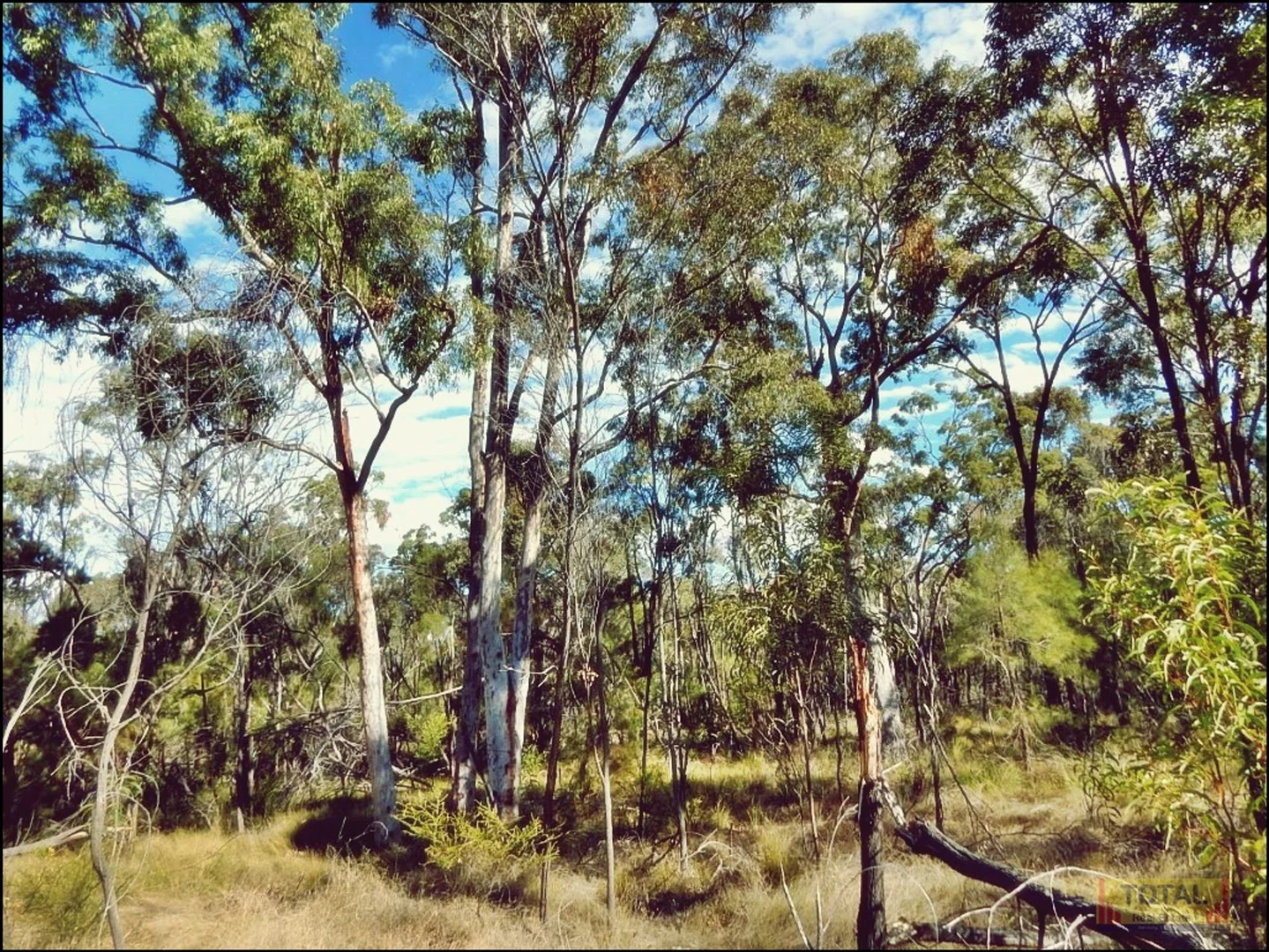 Image 13