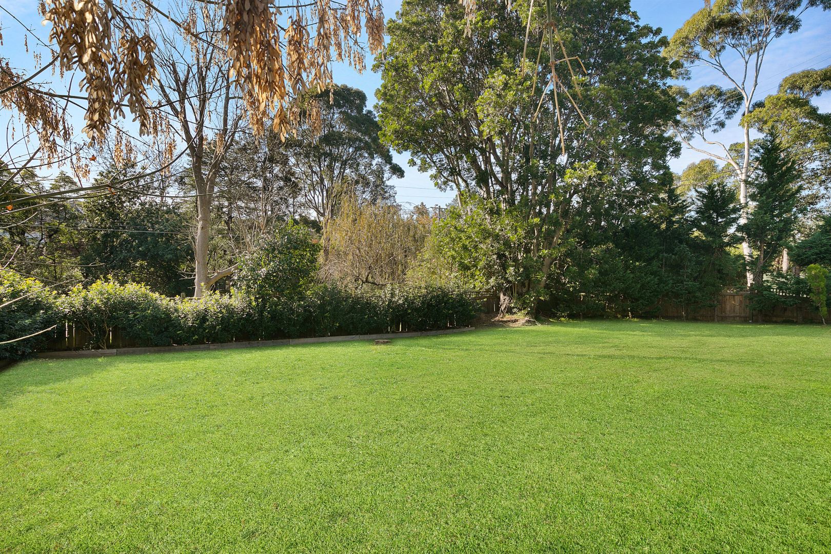 12 Rosetta Avenue, Killara NSW 2071, Image 1